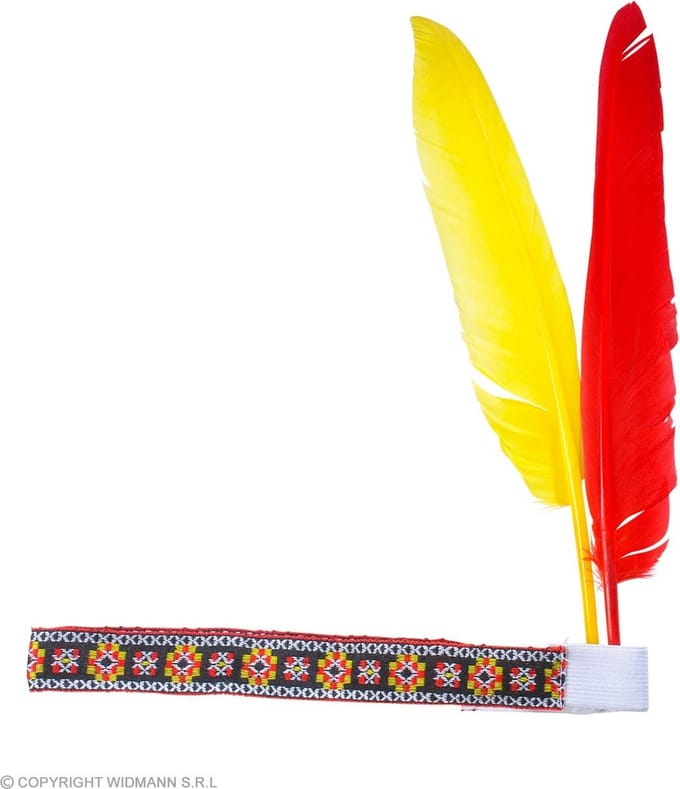 Hoofdband indiaan met 2 veren