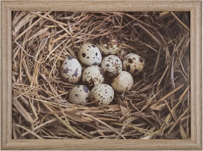 Mars & More Schootkussen Laptray - eieren in nest print - 43 x 33 cm - Dienblad voor op schoot