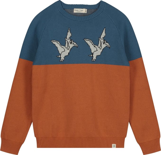 Smitten Organic - Jaquard Flying Dinos Jumper