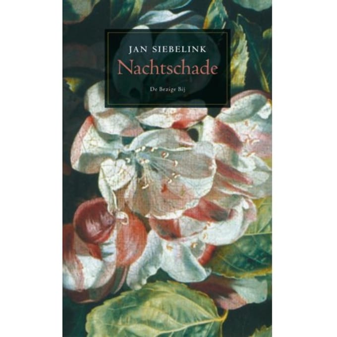 Nachtschade - Jan Siebelink