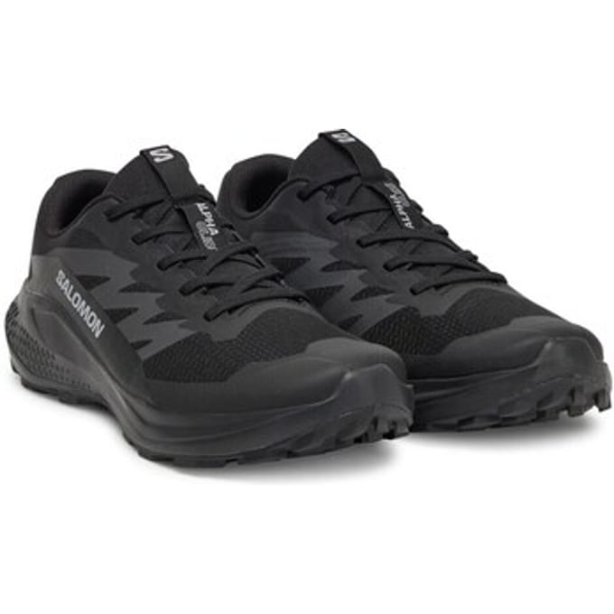 Nette Schoenen Salomon Alphaglide