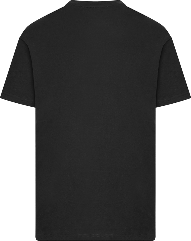 Insomnium T-shirt - Ravens & Sun - S tot 5XL - voor Mannen - zwart