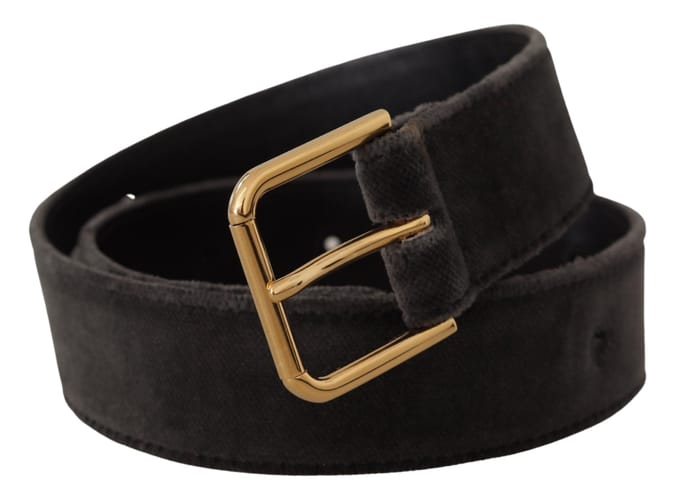 Dolce & Gabbana Bruin Fluwelen Gouden Logo Metaal Taille Gesp Riem