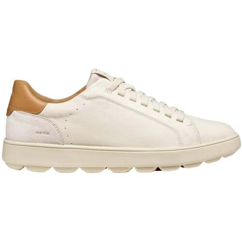 Lage Sneakers Geox -