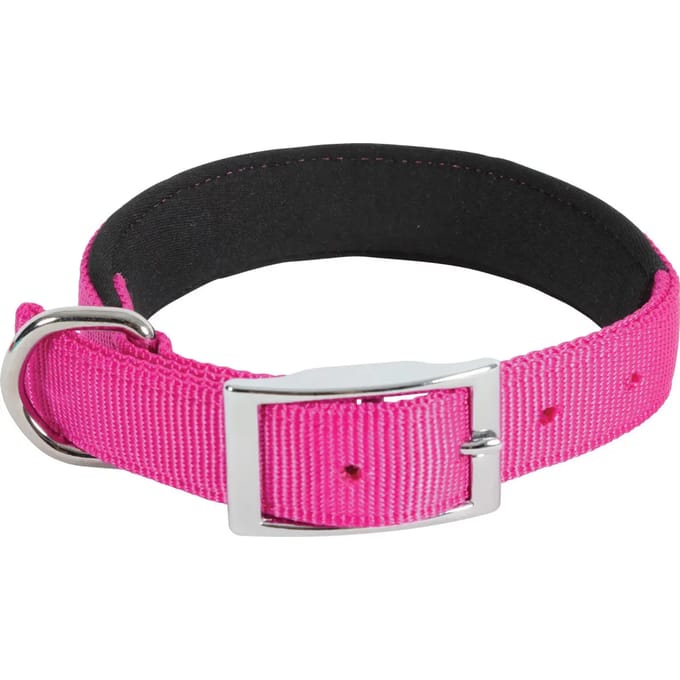 Zachte nylon hondenhalsband Zolux KOMFORT