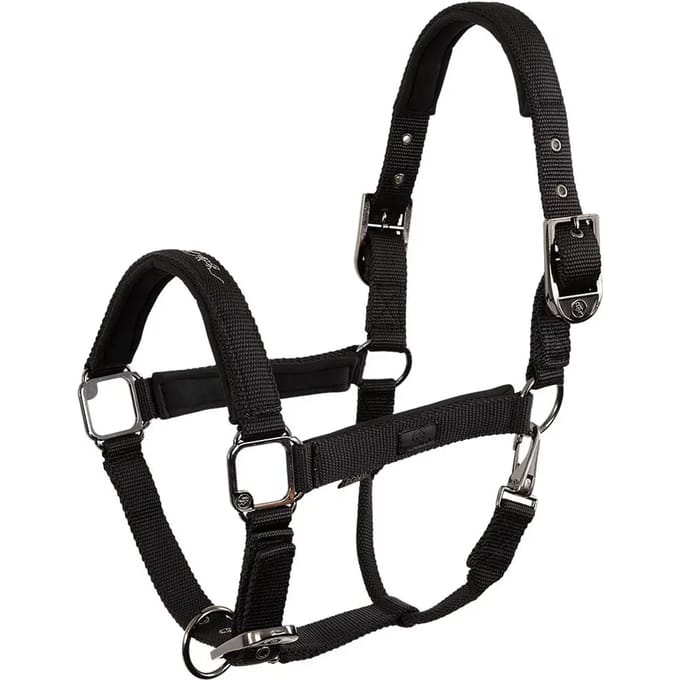 Nylon halster BR Equitation Eevolv Josh