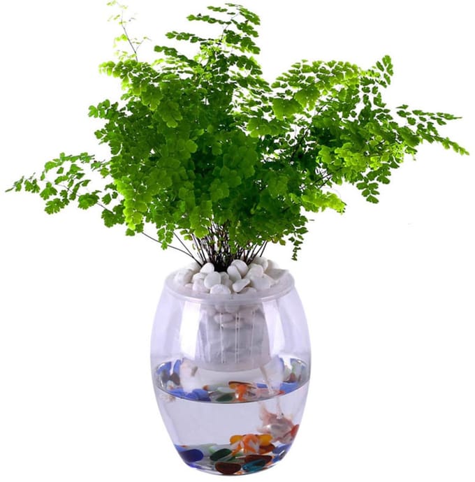 Plant bewateringskoord - Zelfwaterend lont - Planten verzorgen - Efficiënte wateropname - 20 meter - Wit