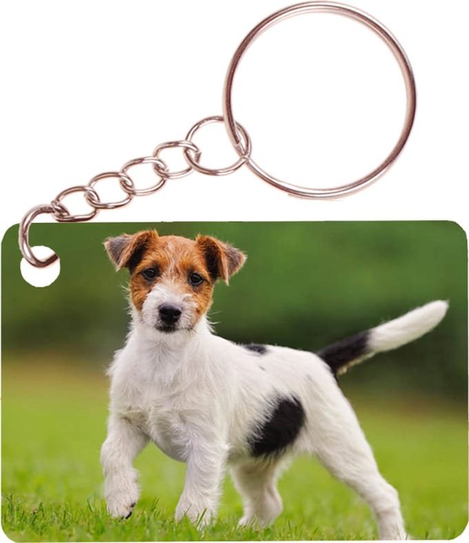 Sleutelhanger 6x4cm - Jack Russel Terrier Hond