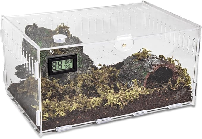 Terrarium - Ecosysteem - Reptielenverblijf - Transparant