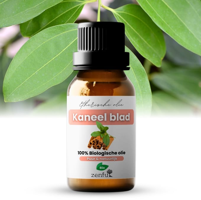 Kaneelblad kaneel blad etherische olie - Puur - 5 ml