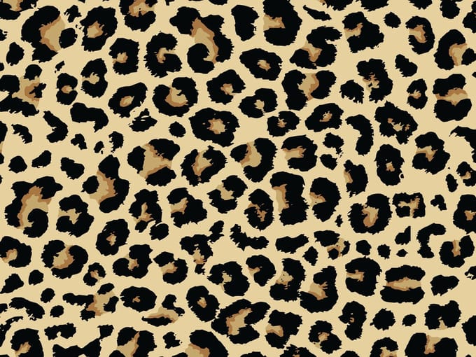 Vinyl | Vloerkleed vinyl | Luipaard | 90x120 cm