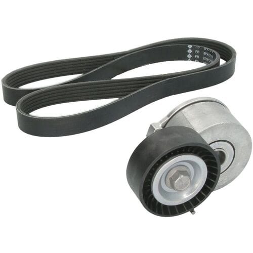 Schaeffler Ina V-snaar set (met rollen) INA 529 0105 10
