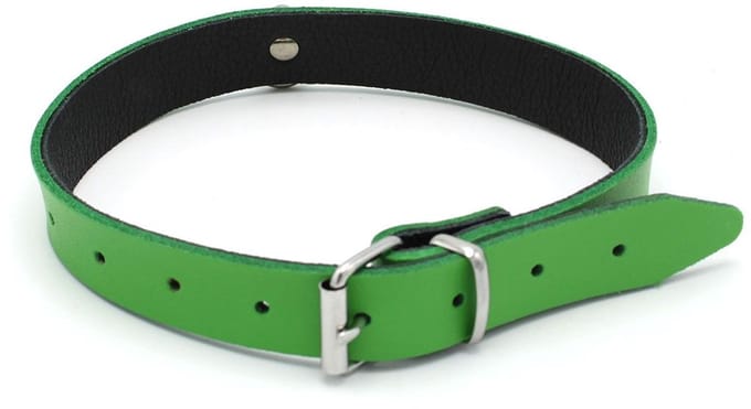 Kiotos Leather - Collar met Kleine O-ring - Leder - Groen