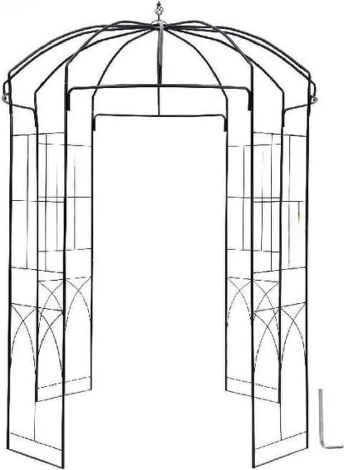 Buitenvogelkooi - Pergola - Tuinkooi - Zwart - 240 cm