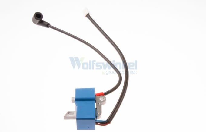Ignition module