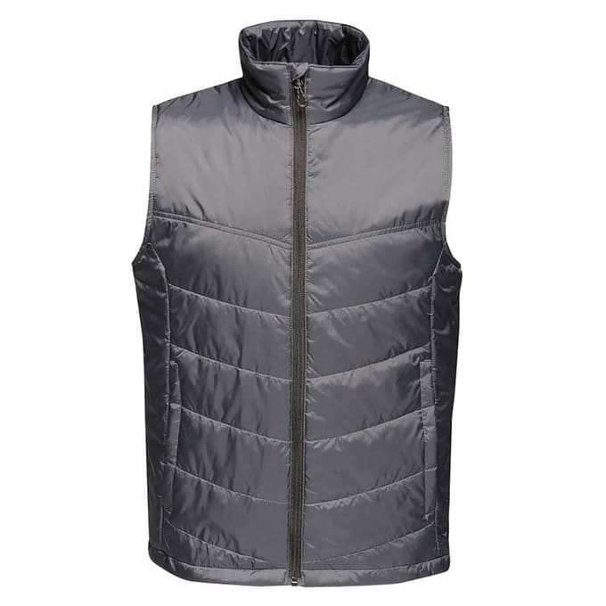 Regatta Heren Fase II Geïsoleerde Bodywarmer (Afdichting Grijs)