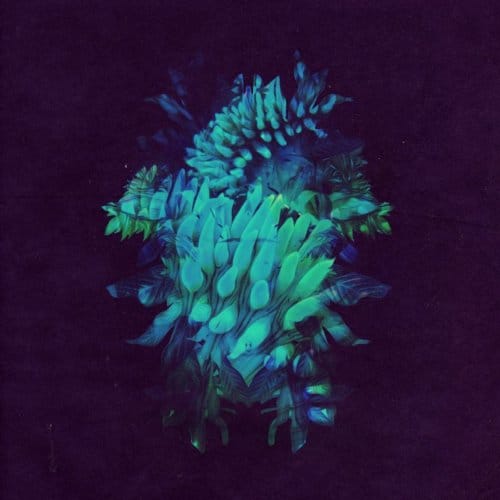 All Glows - Fakear