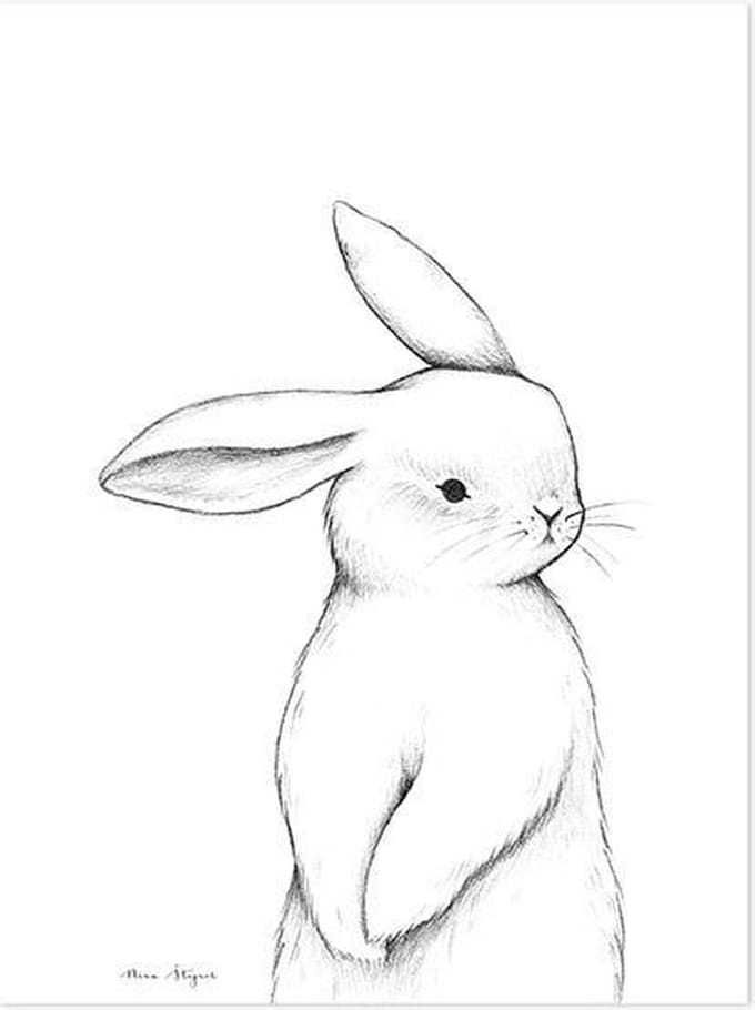 Poster Hello Bunny Lilipinso