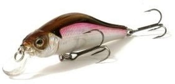 Strike Pro Archback 60 - Pluggen en jerkbaits - Strike Pro - Fishing-bait.nl