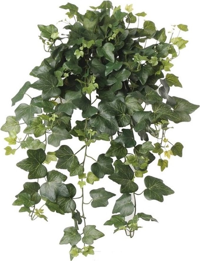 Hedera Helix Kunstplant - 65 cm - klimop - groen - UV en weerbestendig