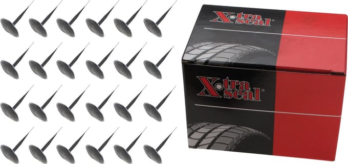 BGS Bandenreparatieproppen Ø 10,0 mm 24 delig
