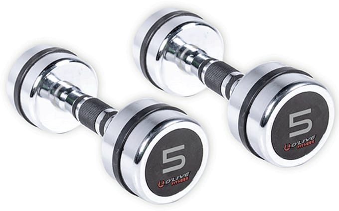 Olive Verchroomde Dumbbell 5kg 2 Eenheden Zilver