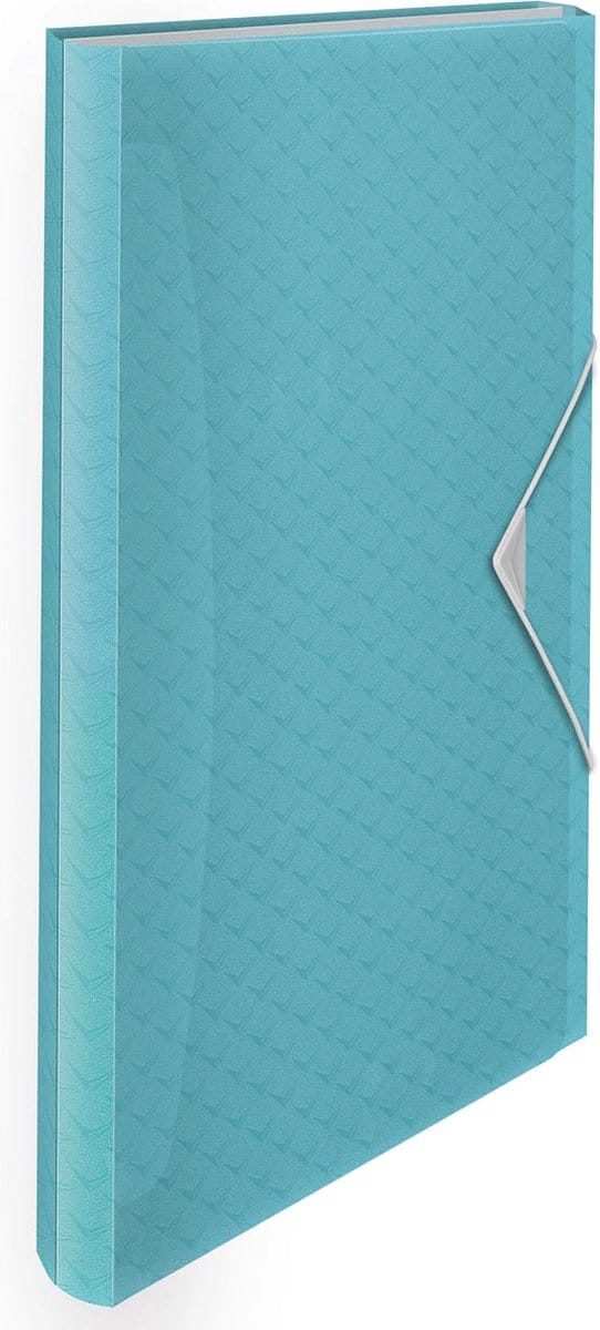 Organiser Map Esselte Colour Ice Blauw (33 x 26 x 25 cm)