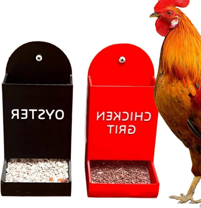 Grit Voederbak - Voedsel Container - Pluimvee Voeren - Overlooppreventie Ontwerp - 2 Stuks - Brief AB