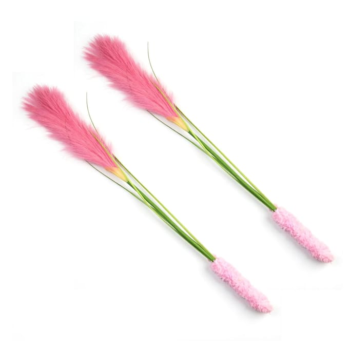 2PCS Jouet Cannes à Pêche pour Chat Queue de Chien Réaliste Herbe Jouet Interactif pour Chatons Chats Exercice Enrichment Rose rose