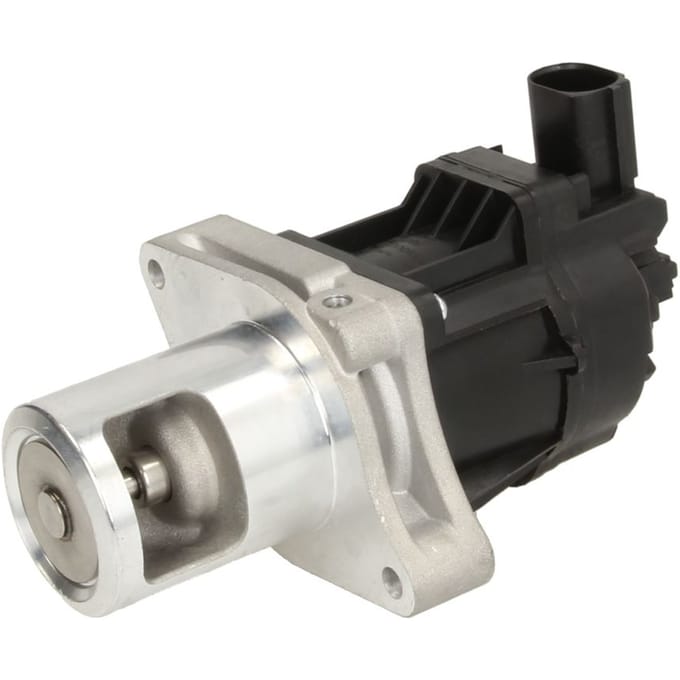 EGR-klep DELPHI EG10479-12B1