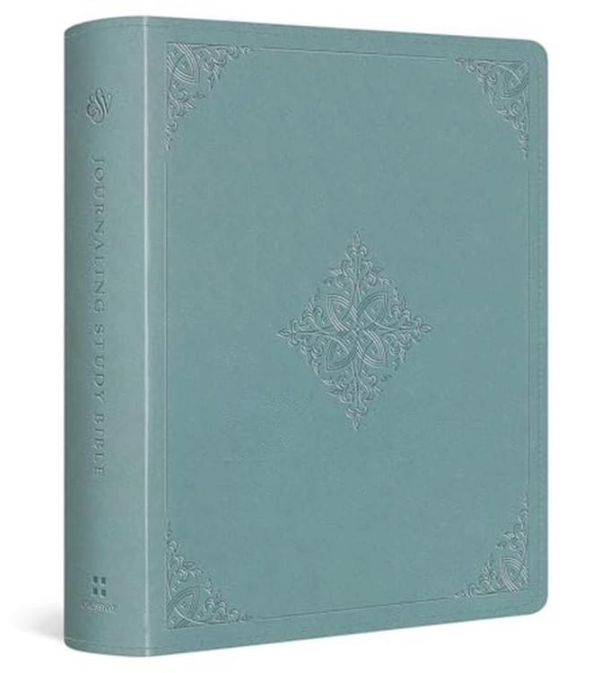 Journaling Study Bible met 12000 Studie-notities en Ruimte voor Notities