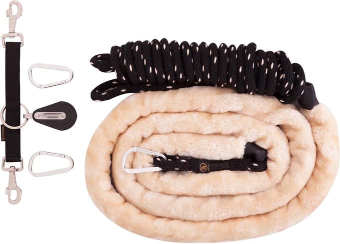 Br Longeerhulp Br Concord® Longe Longeermethode