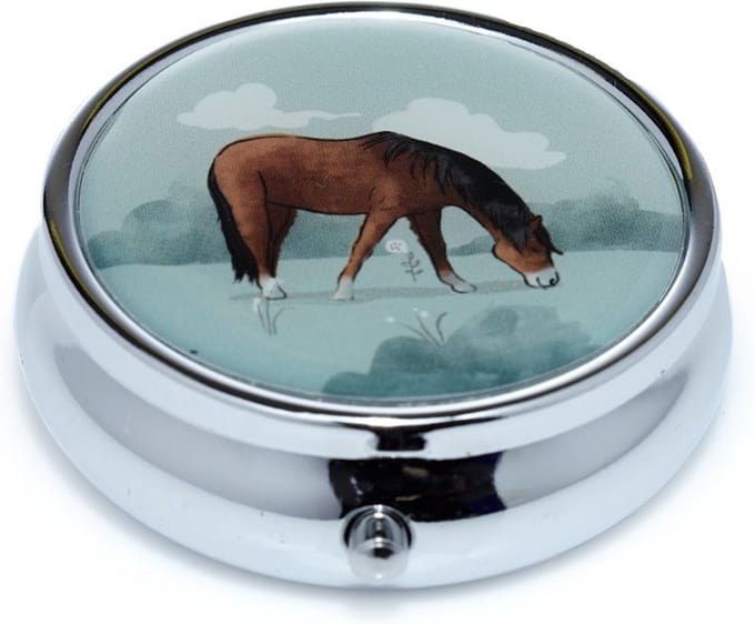Pillendoosje boerderij paard