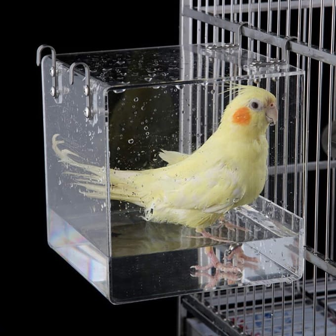 Baignoire pour Oiseaux en Acrylique Baignoire Douche Boîte Bol avec Crochets Accessoire de Cage pour Oiseaux Perroquets white