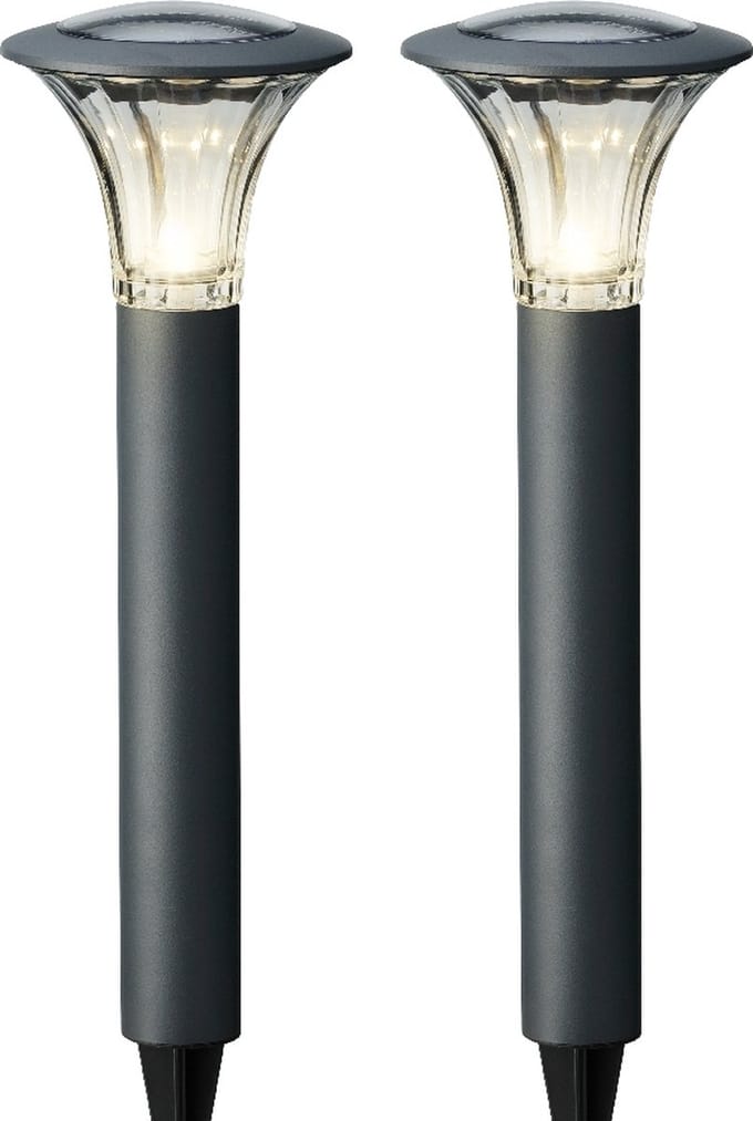 Lumineo LED solar set of 2 garden stake