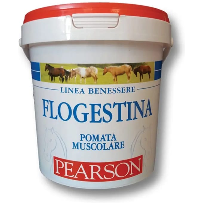 Paardencrème Tattini Flogestina