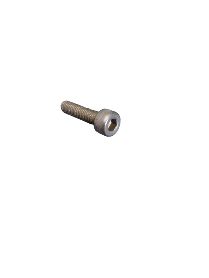 Screw