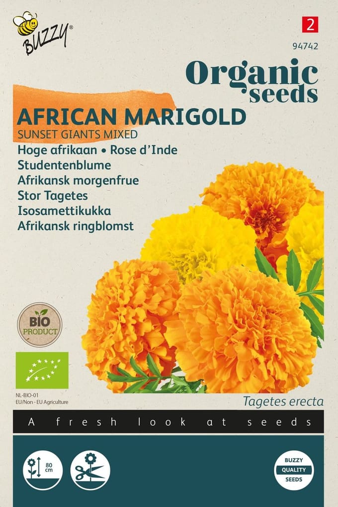 Zaden afrikaan sunset giants 1 gram