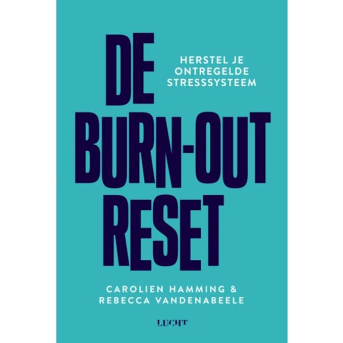 De Burn-Out Reset - Carolien Hamming