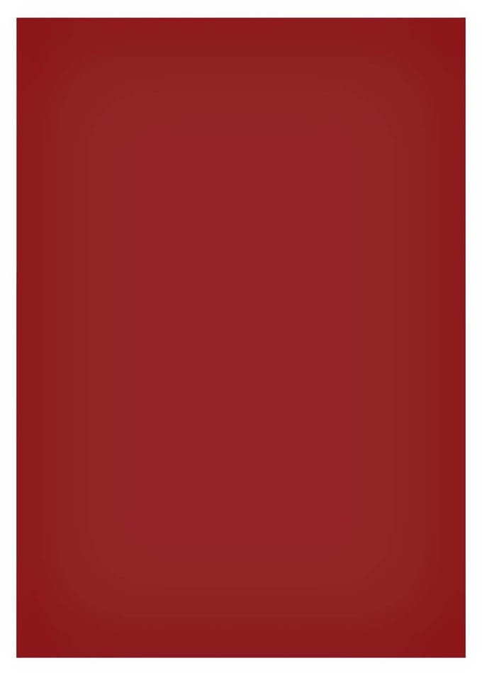 Magneetvel maul 200x300mm rood | 50 stuks