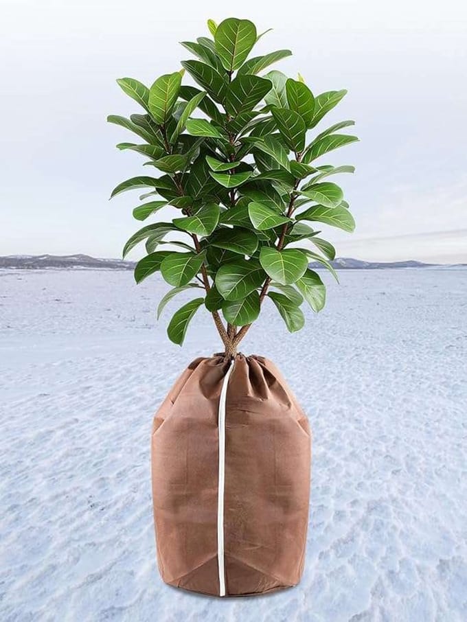 CE - Plantenbeschermhoes - 65x70 cm - Winterbescherming - Bruin