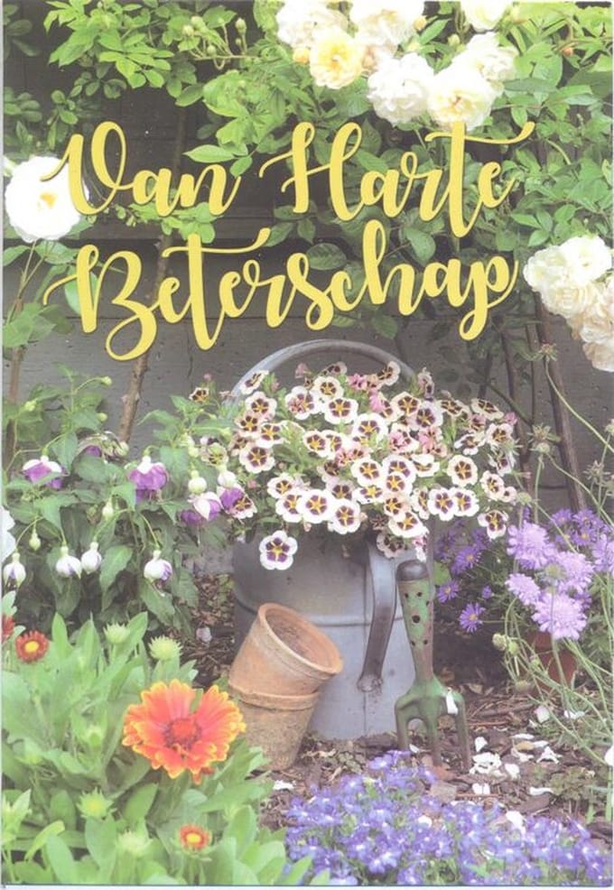 Wenskaart Van Harte Beterschap - Gratis verzonden - D4392/124