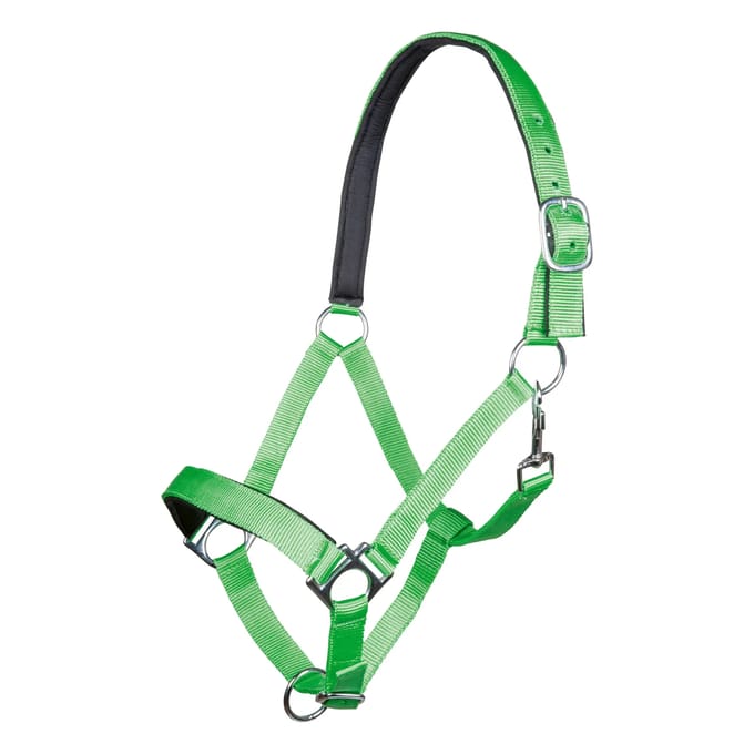 Halster voor paarden HKM Stars