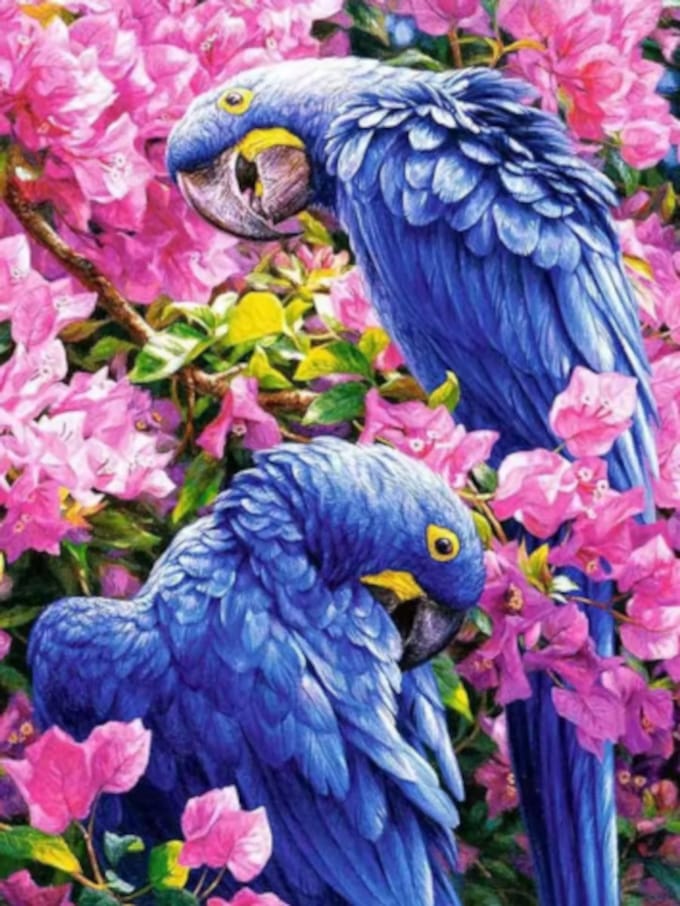 Diamond painting Papegaaien 30x40cm ronde steentjes