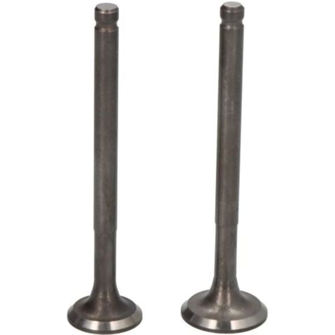 Ventiel en ventielplaat INPARTS IP000410