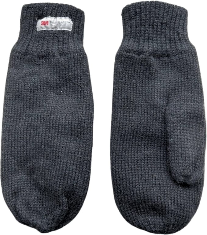 Dames wanten - Winter want - Thinsulate - Wol - Zwart - One size