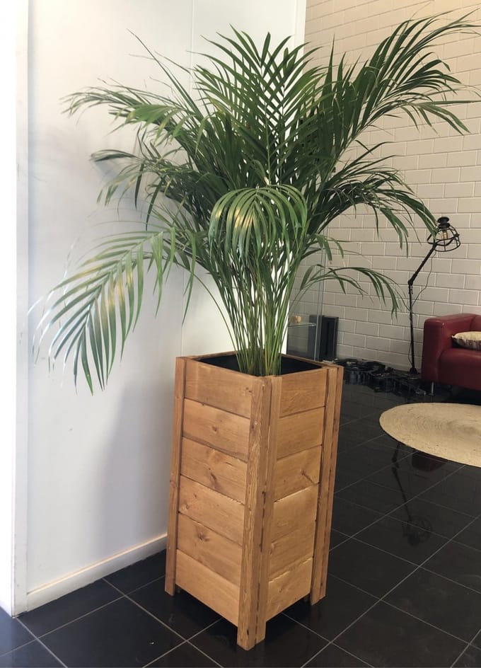 Houten Plantenbak hoge variant