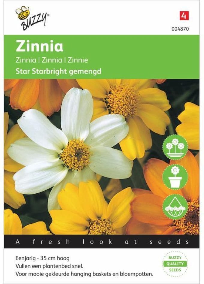 Buzzy® Zinnia angust Star Starbright mixed