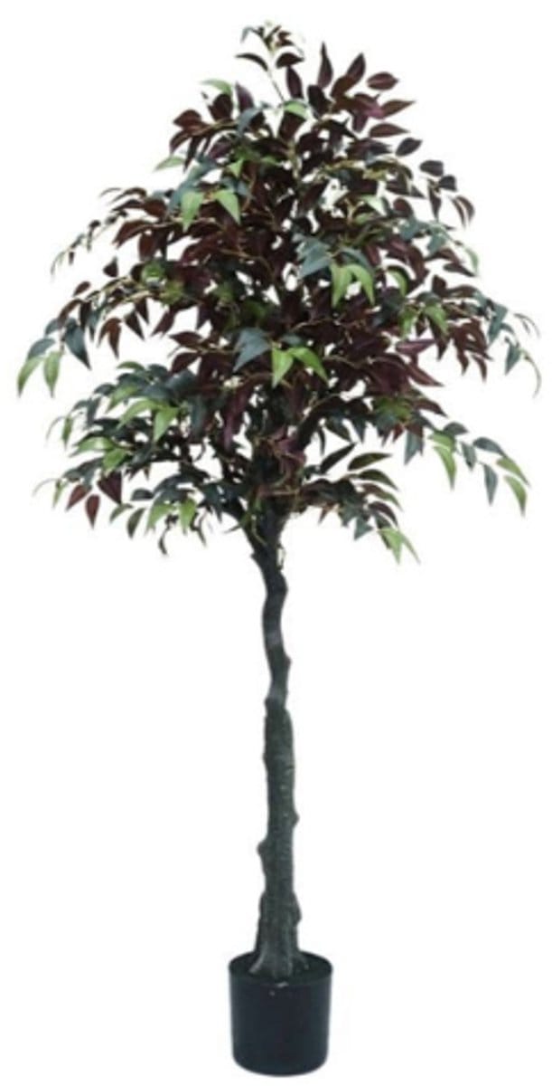 Neverleafs kunstplant Ficus - 150 cm
