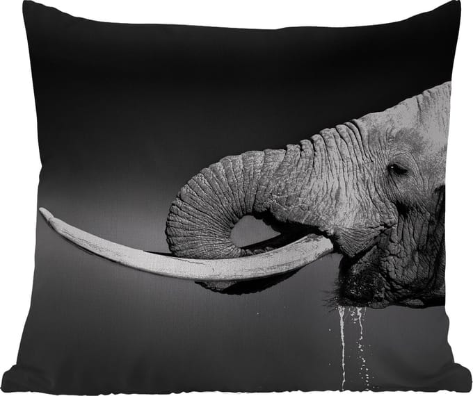 Tuinkussen - Olifant - Water - Dieren - Zwart - Wit - 40x40 cm - Weerbestendig